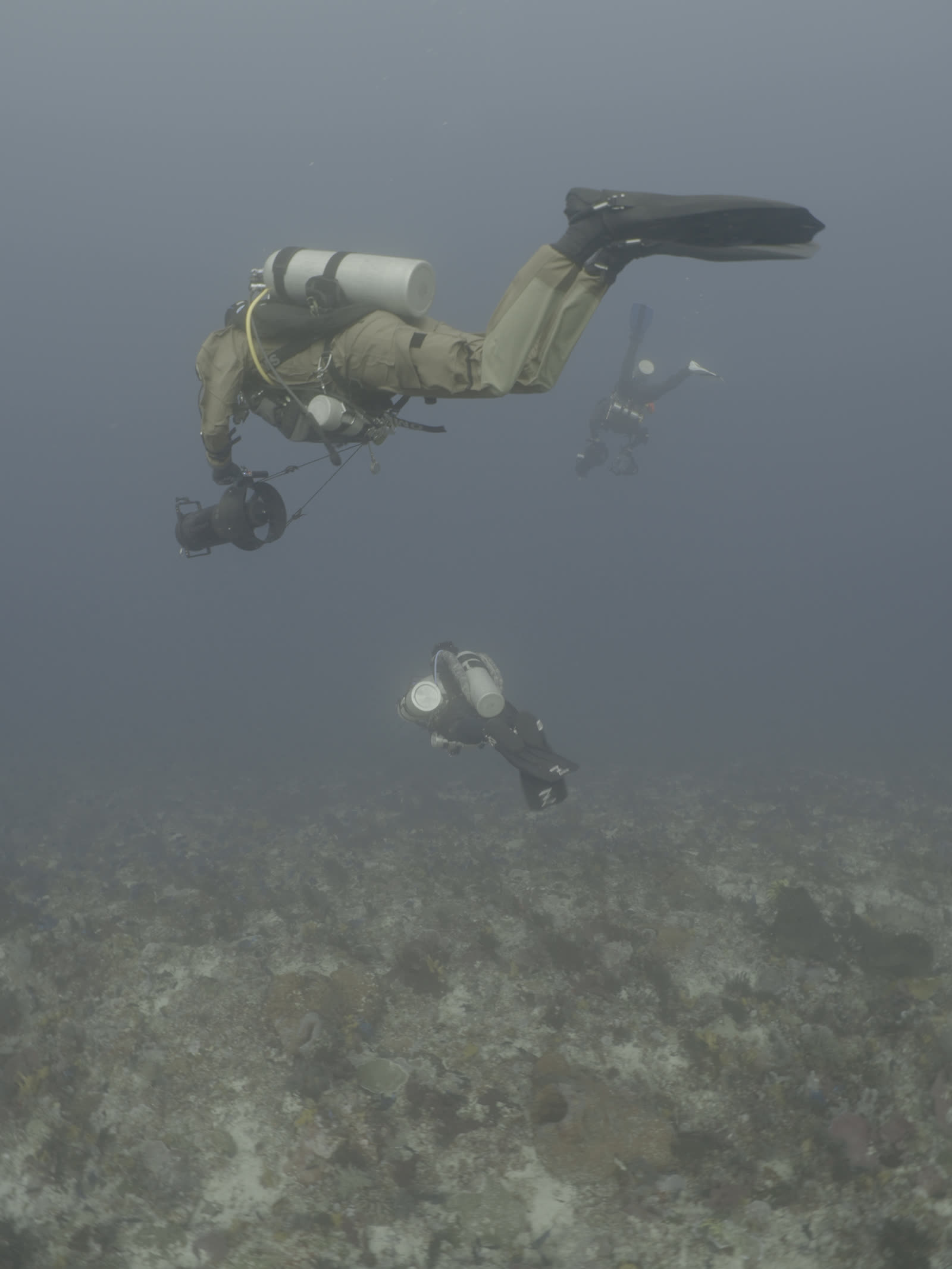 Diver over a Bira reef with schooling fish